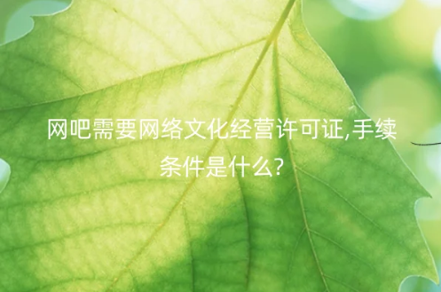 網吧需要網絡文化經營許可證,手續條件是什么? 網吧需要網絡文化經營許可證,手續條件是什么?