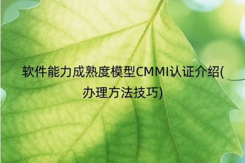 軟件能力成熟度模型CMMI認證介紹(辦理方法技巧) 軟件能力成熟度模型CMMI認證介紹(辦理方法技巧)