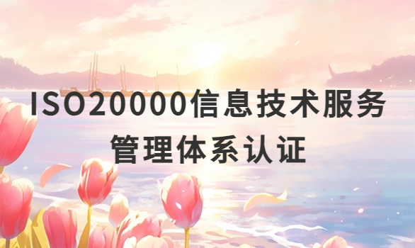 ISO20000信息技術服務管理體系認證流程及條件是什么?