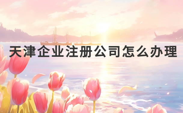 天津企業注冊公司怎么辦理