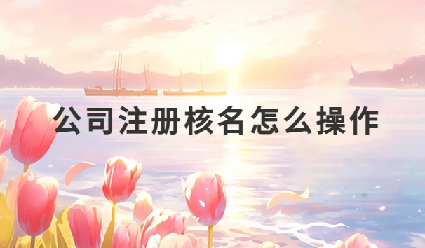 公司注冊核名怎么操作?一文就懂了
