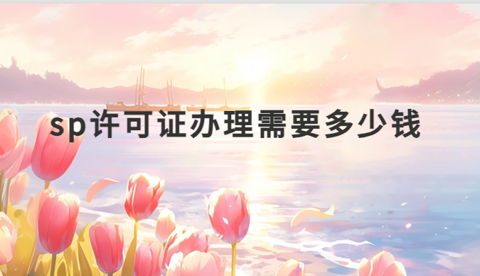 sp許可證辦理需要多少錢 sp許可證辦理需要多少錢