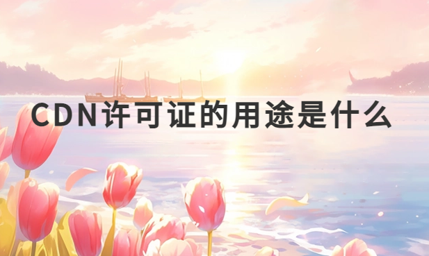 CDN許可證的用途是什么?